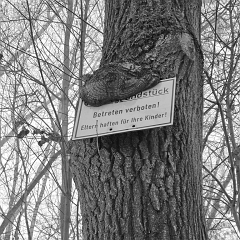 WhatsApp Image 2026-02-08 at 15.41.54